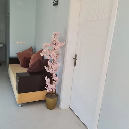 القمة شقة بحوش خاص Al Bahah Exterior photo